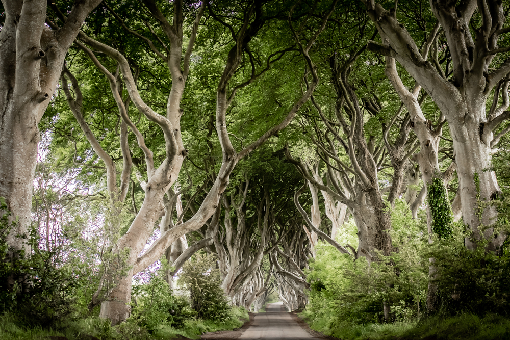 where game of thrones was filmed