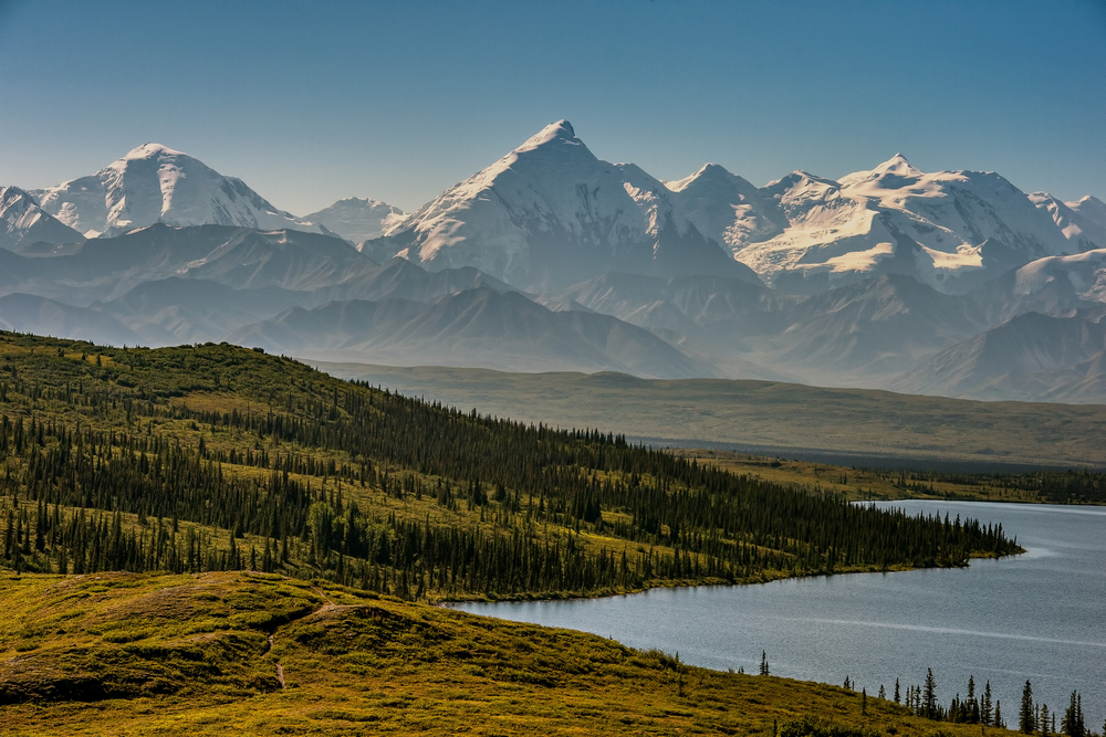 denali national park