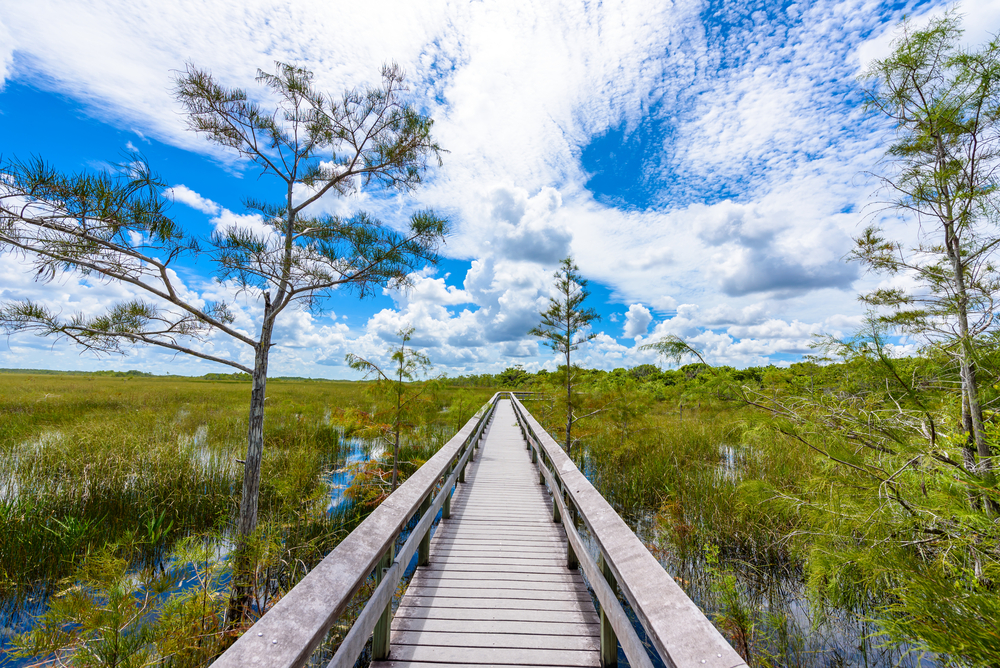 Everglades National Park