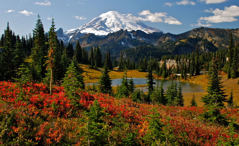 mount rainier national park