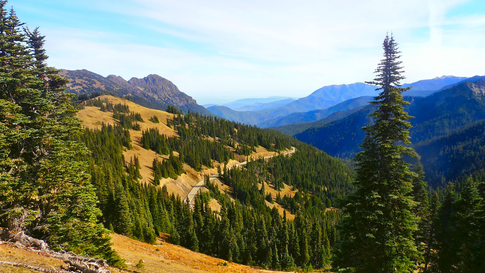 Olympic National Park