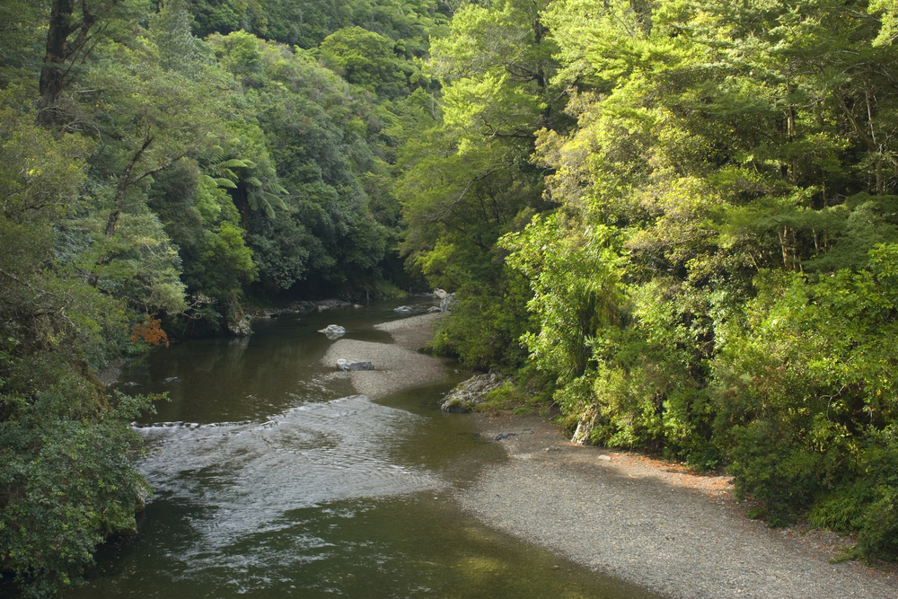 Where Lord of the Rings Was Filmed in New Zealand